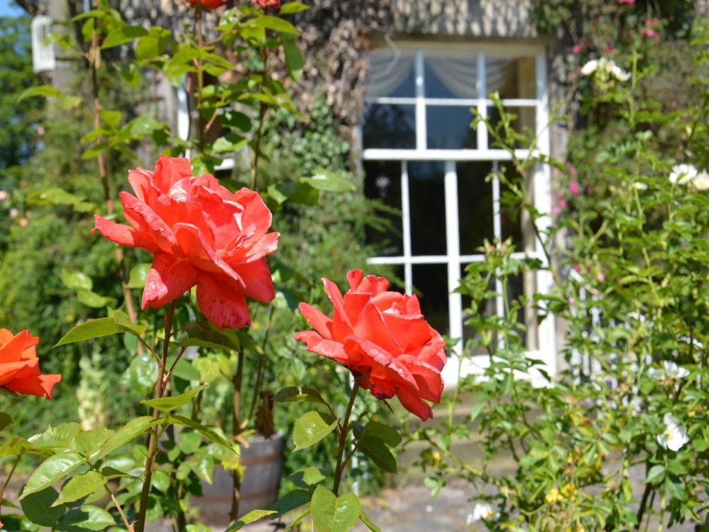 Powis House B&B Στέρλινγκ Εξωτερικό φωτογραφία