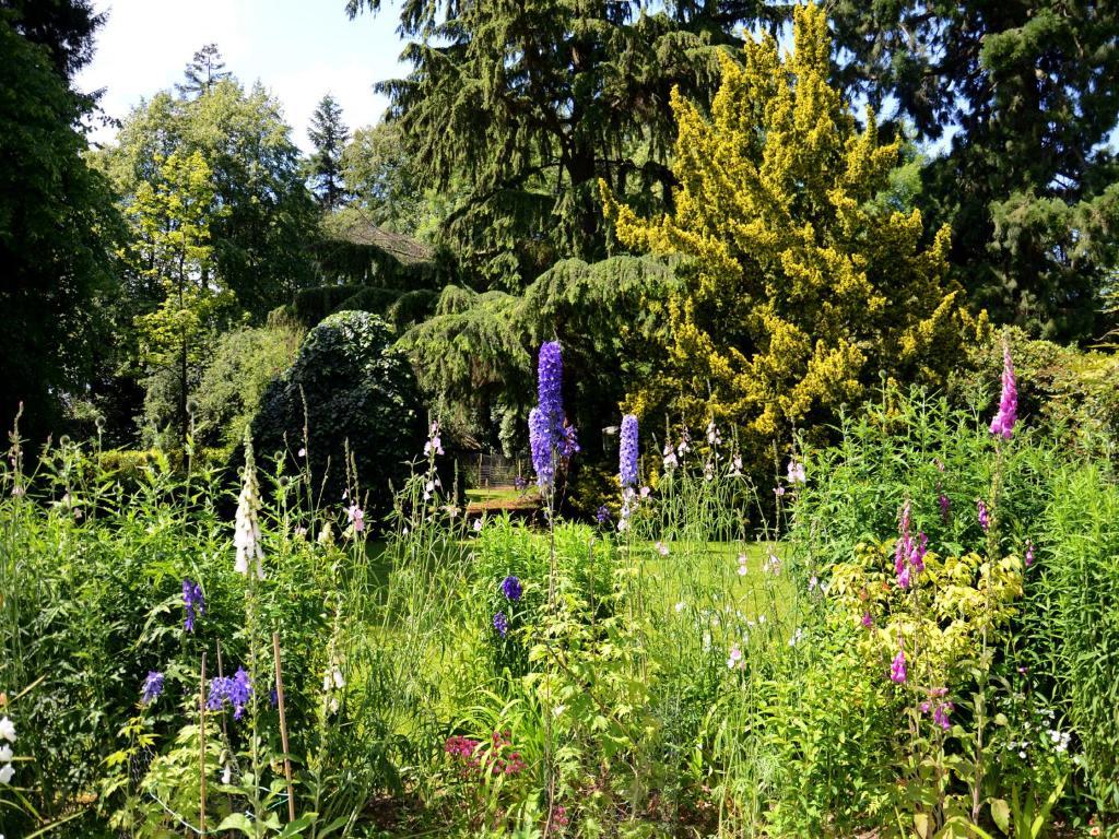 Powis House B&B Στέρλινγκ Εξωτερικό φωτογραφία